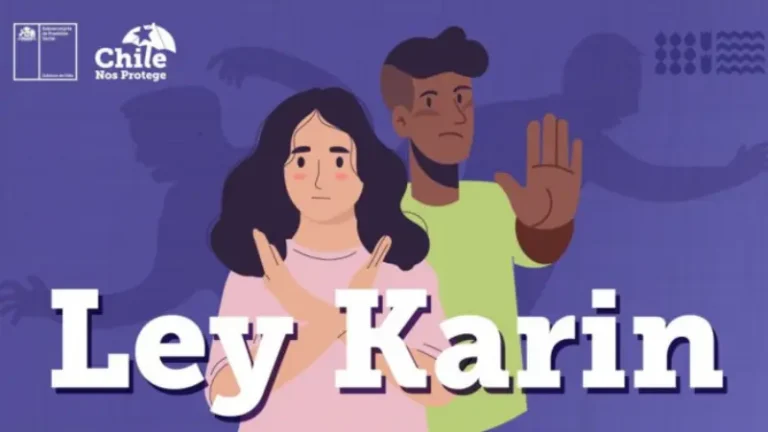 Ley Karin