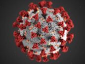 coronvirus