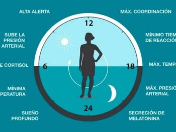 ciclos del sueño y calidad el descanso